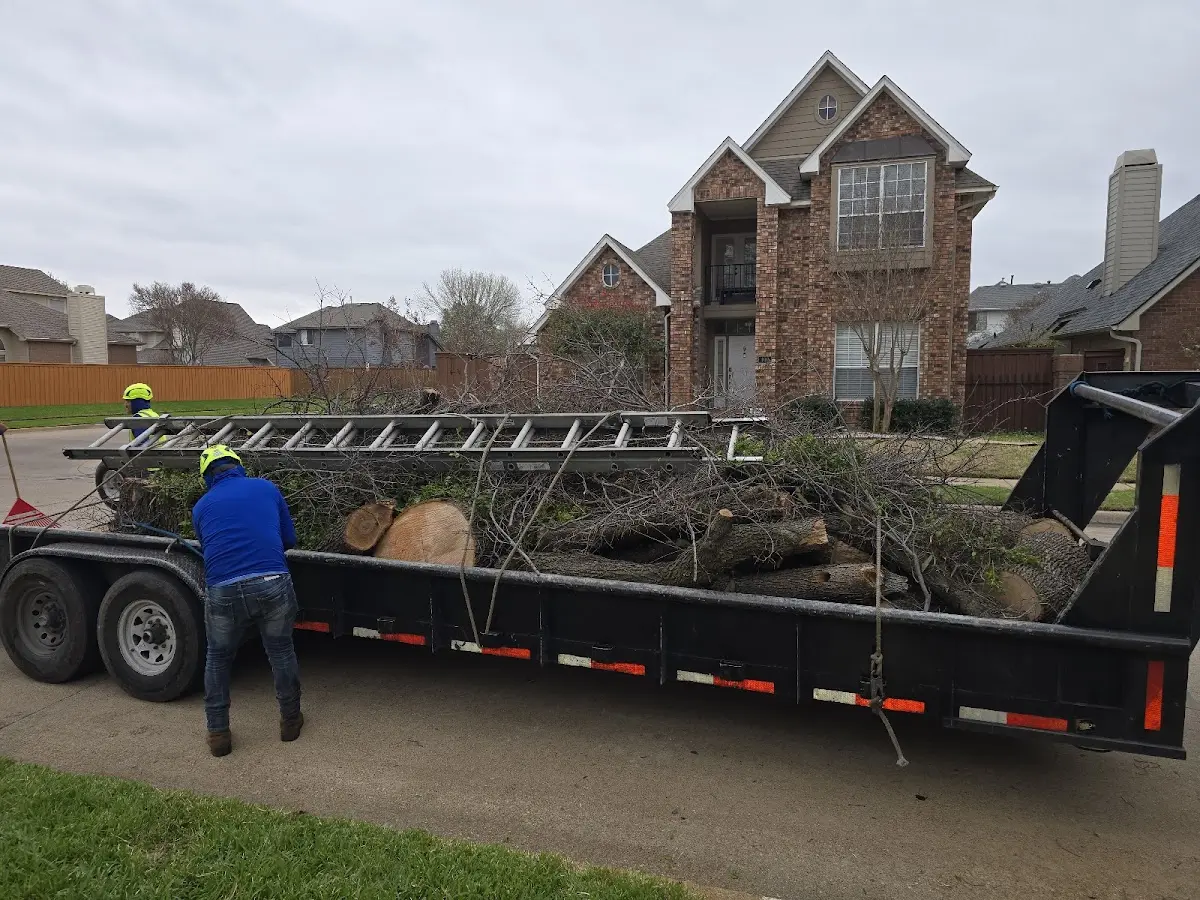 Expert Lot Clearing with proper safety equipment in Van Voorhis